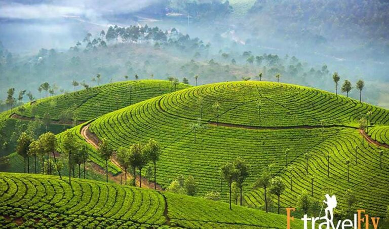 munnar